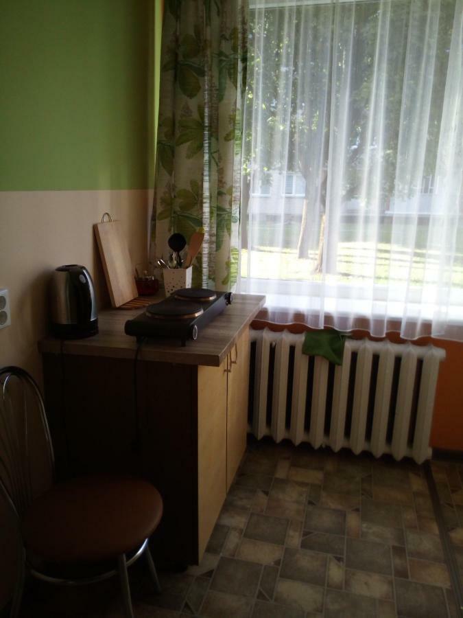 Anykstuko Butas Daire Anykščiai Dış mekan fotoğraf